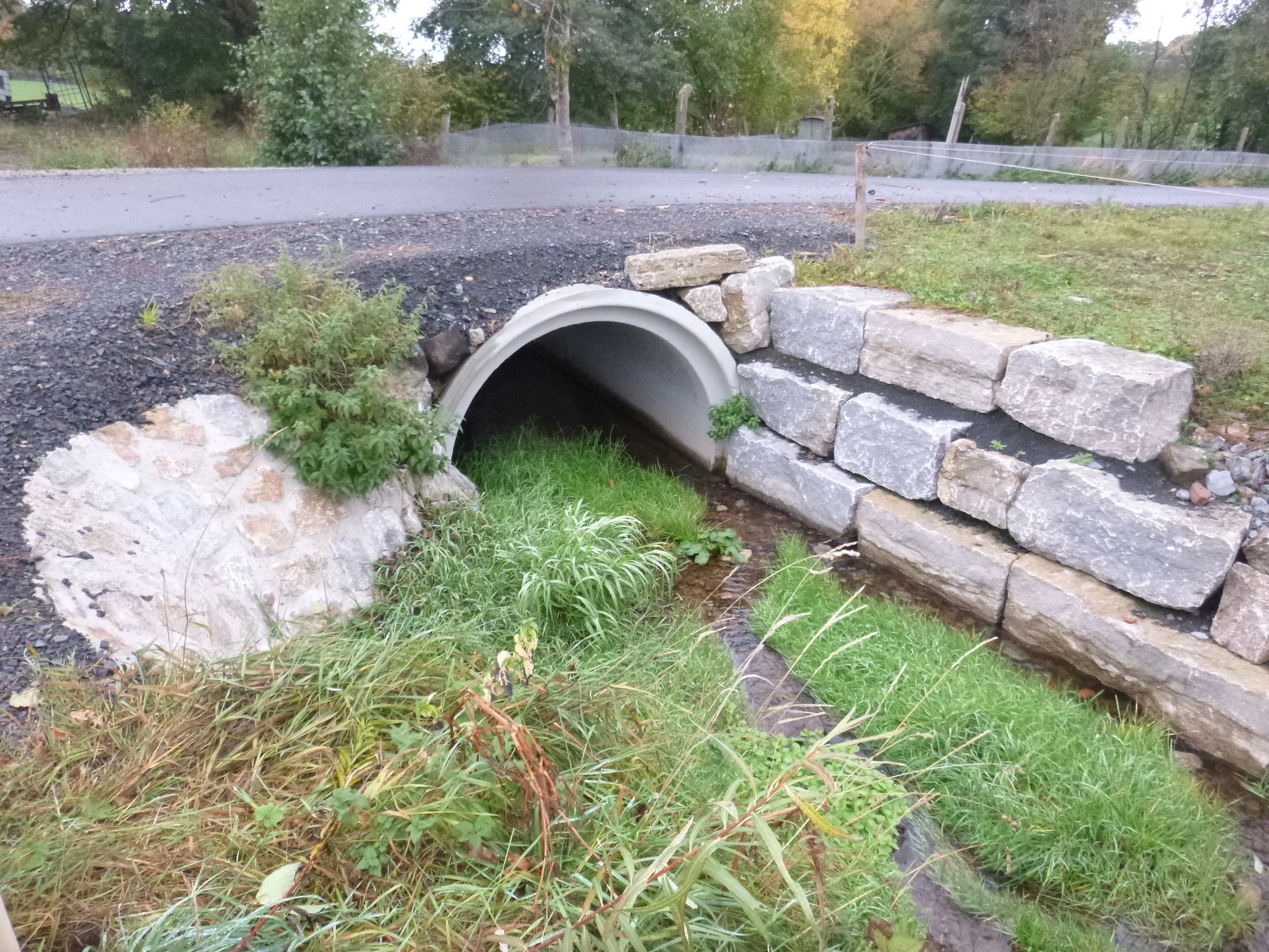 Ein kleiner Bach fließt durch ein runde, graue Betonrohr, das in einer Steinmauer eingebaut ist, umgeben von Gras und Pflanzen, mit einer Straße und Bäumen im Hintergrund.