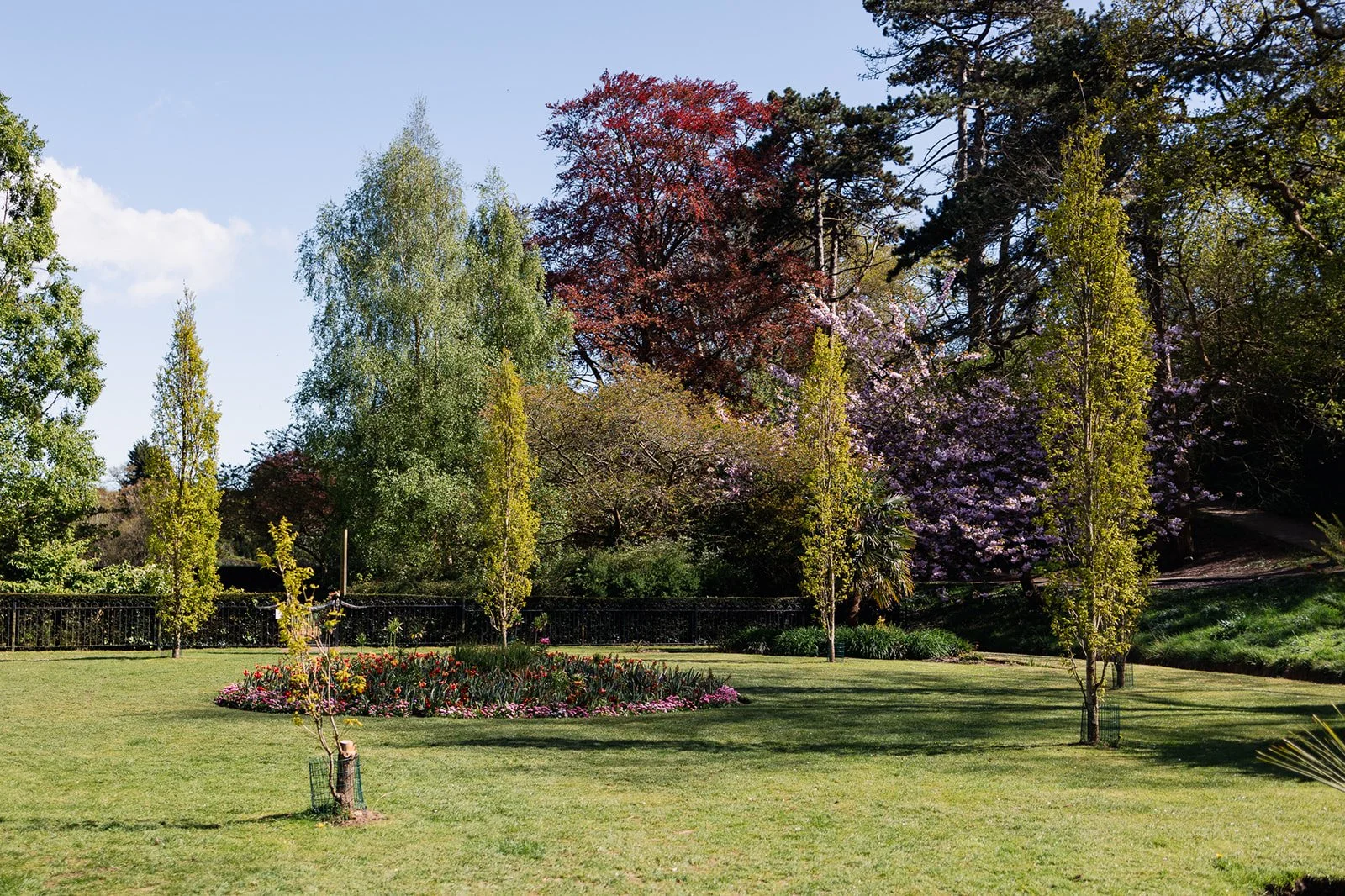 ALEXANDRA PARK_Sarah Marland Photography-53.JPG