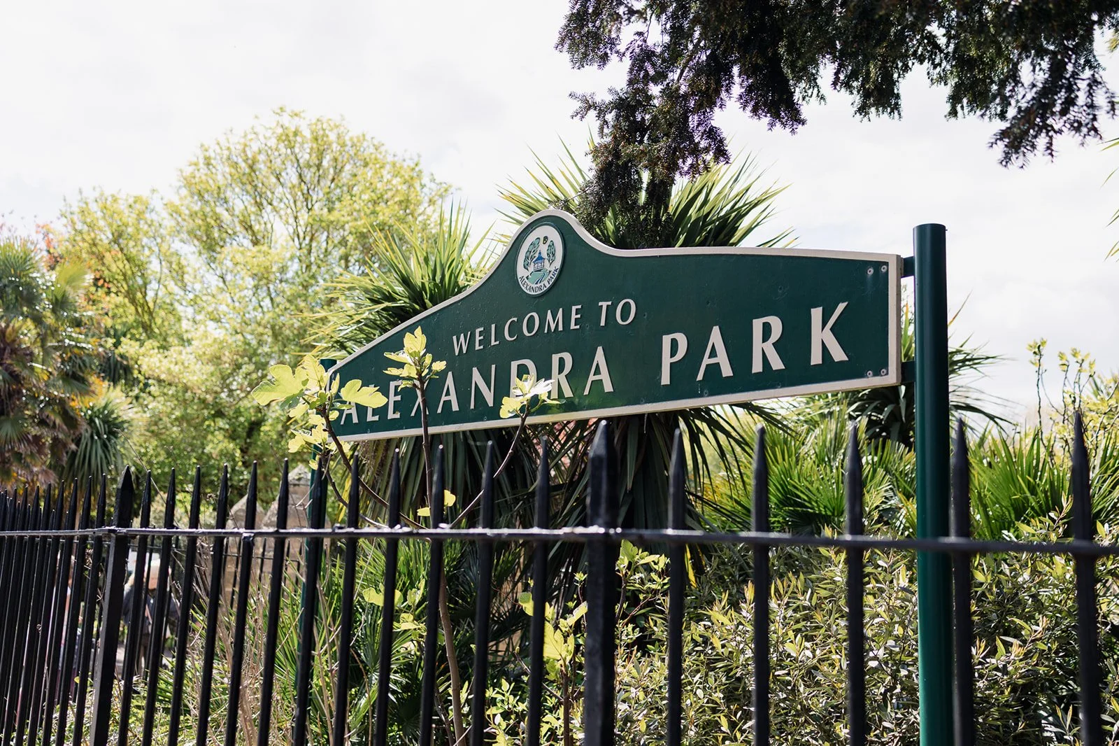 ALEXANDRA PARK_Sarah Marland Photography-1.JPG