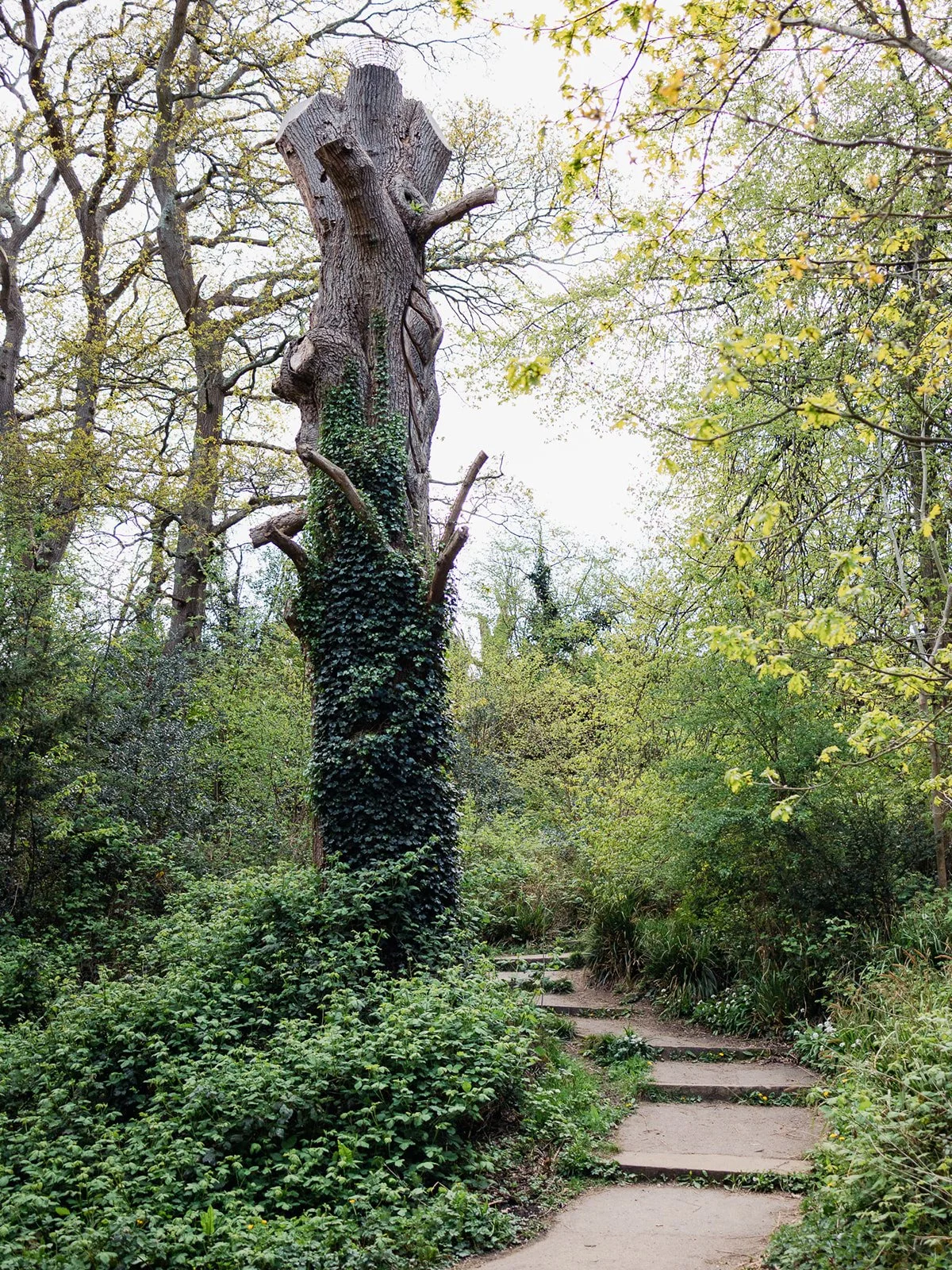 ALEXANDRA PARK_Sarah Marland Photography-64.JPG