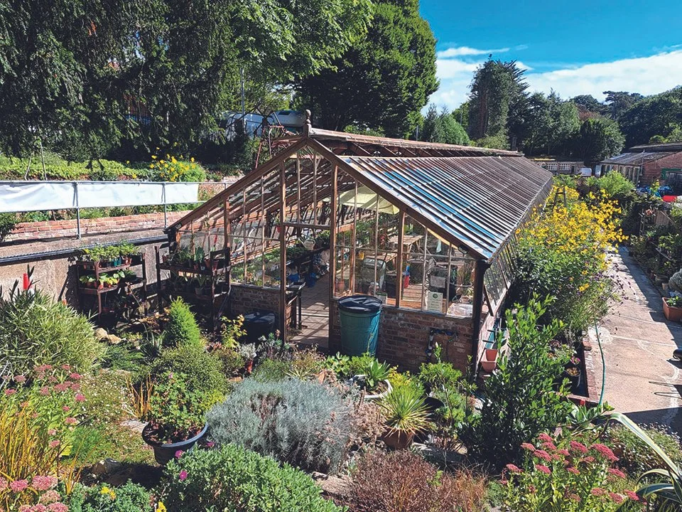 Alexandra Greenhouse Project