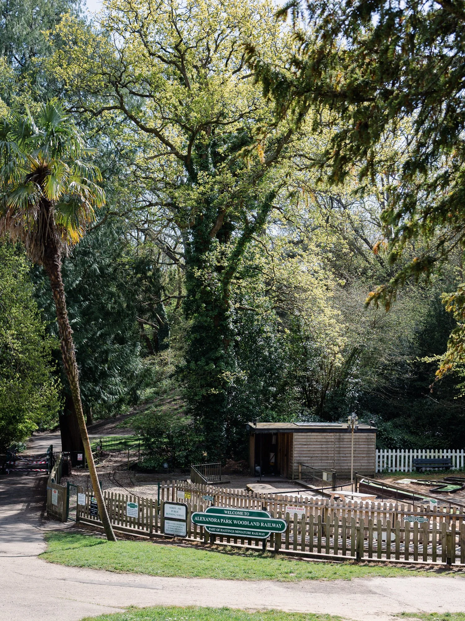 ALEXANDRA PARK_Sarah Marland Photography-74.JPG