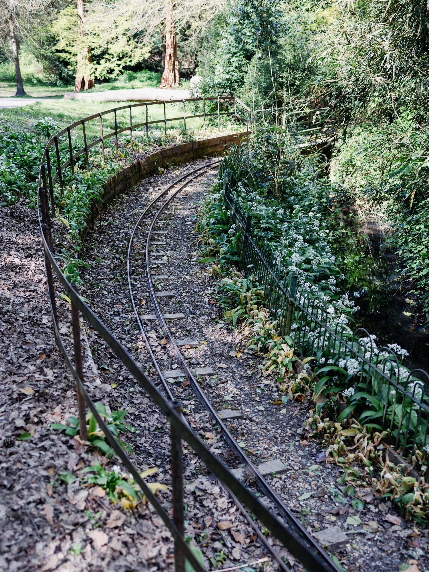 ALEXANDRA PARK_Sarah Marland Photography-58.JPG