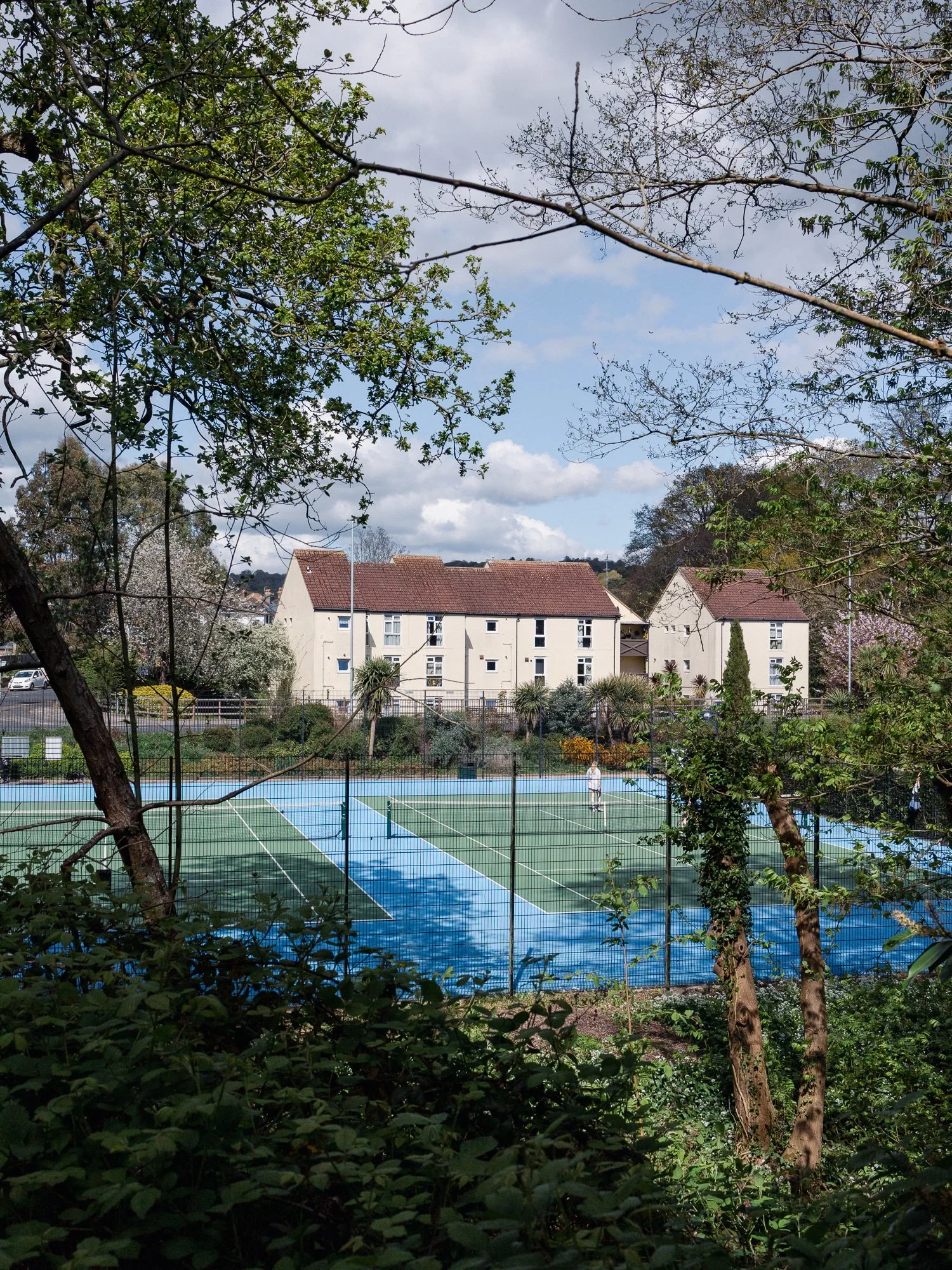 ALEXANDRA PARK_Sarah Marland Photography-35.JPG