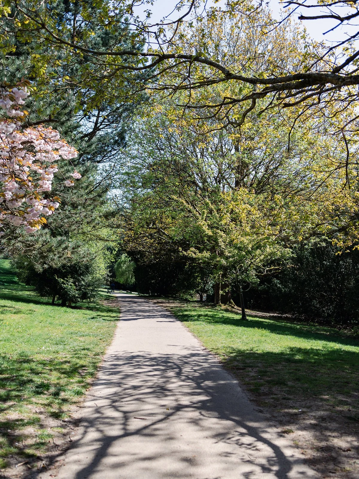 ALEXANDRA PARK_Sarah Marland Photography-69.JPG