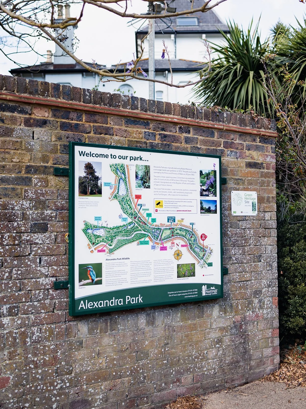 ALEXANDRA PARK_Sarah Marland Photography-99.JPG