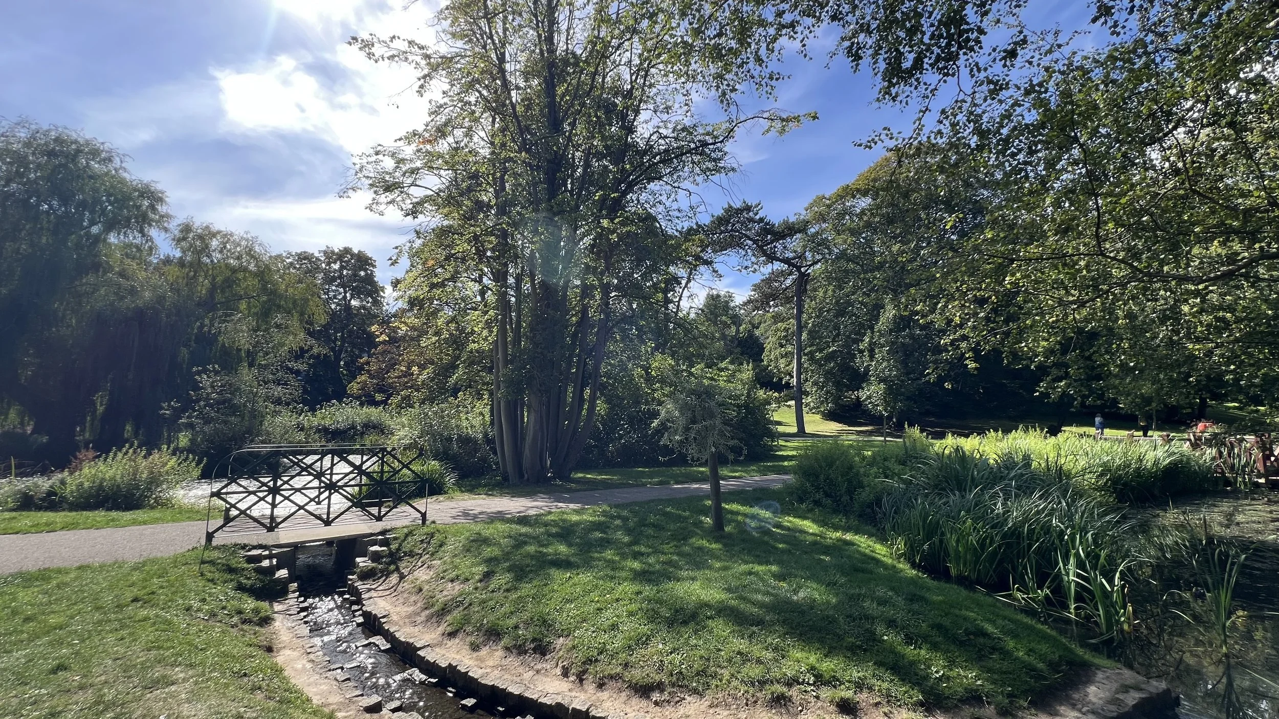 A peaceful park scene with trees, a small stream, a bench, and a walking path under a partly cloudy sky.