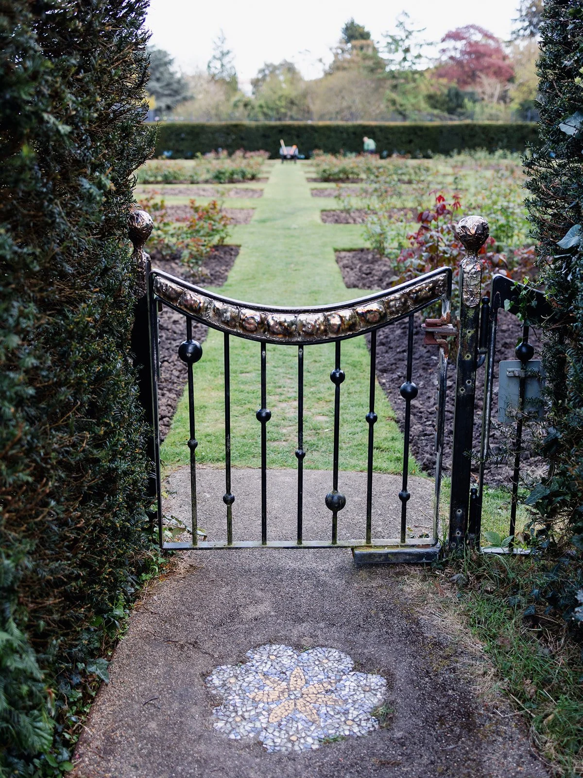 ALEXANDRA PARK_Sarah Marland Photography-44.JPG
