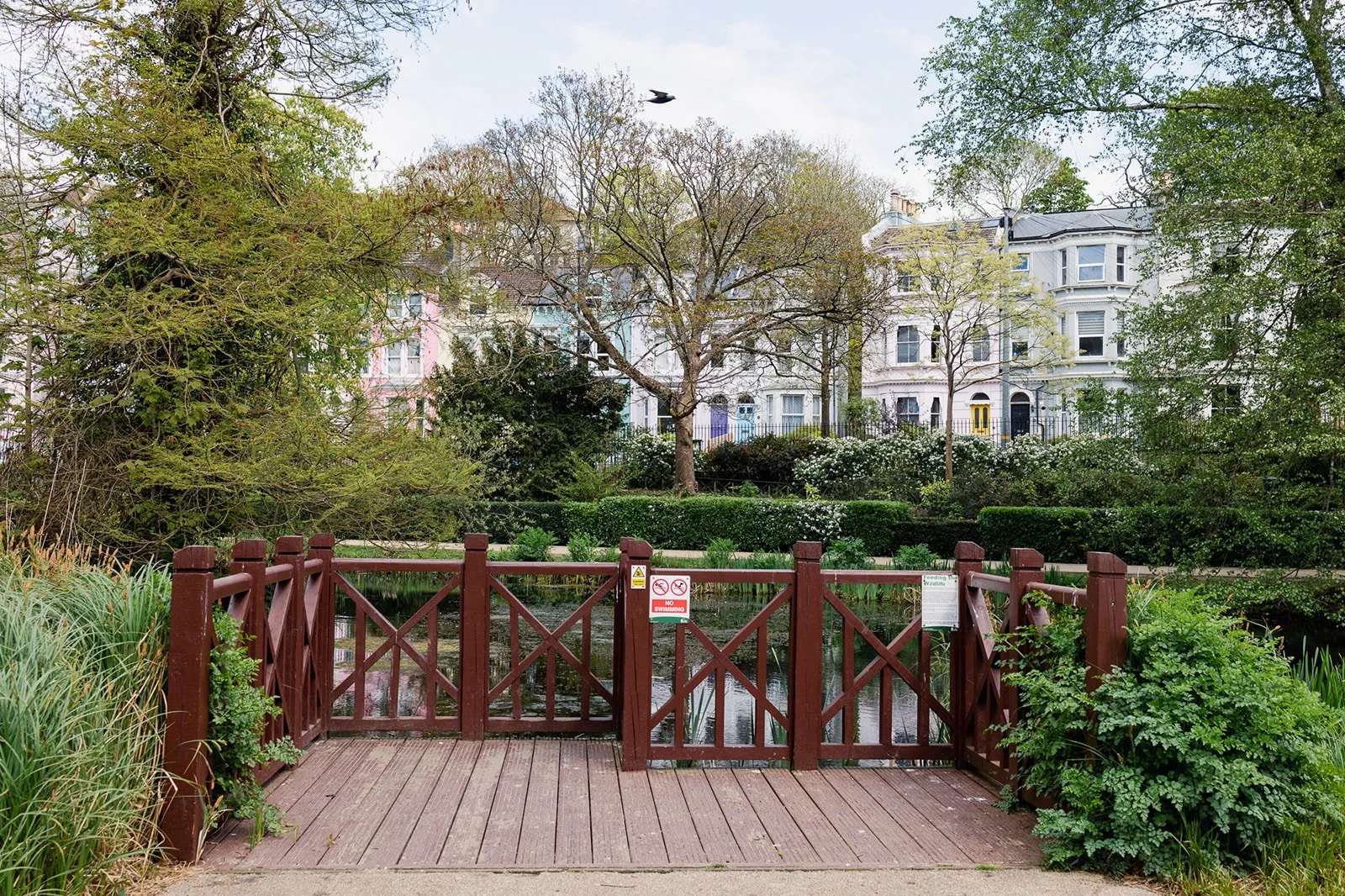 ALEXANDRA PARK_Sarah Marland Photography-19.JPG