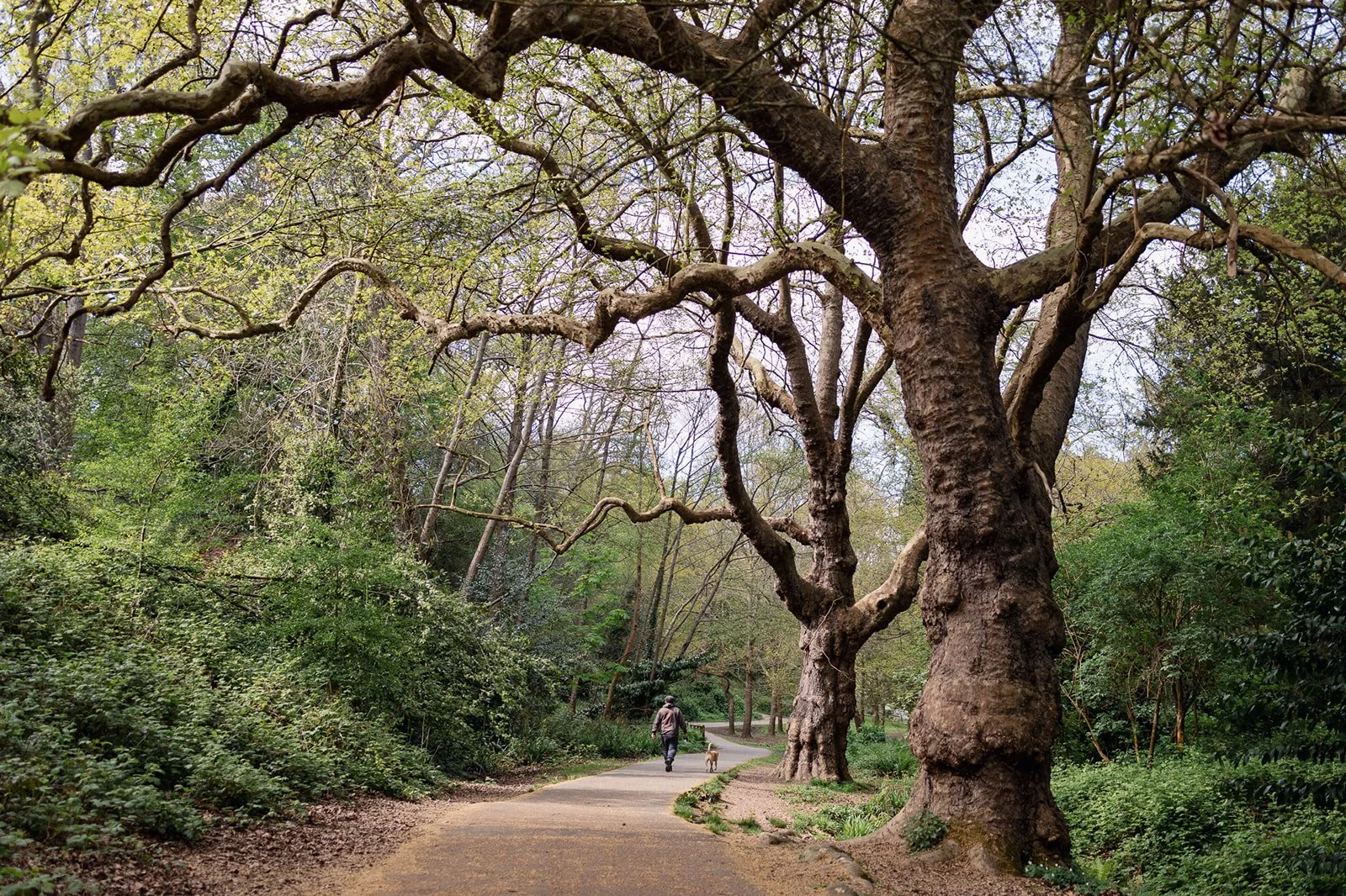 ALEXANDRA PARK_Sarah Marland Photography-62.JPG