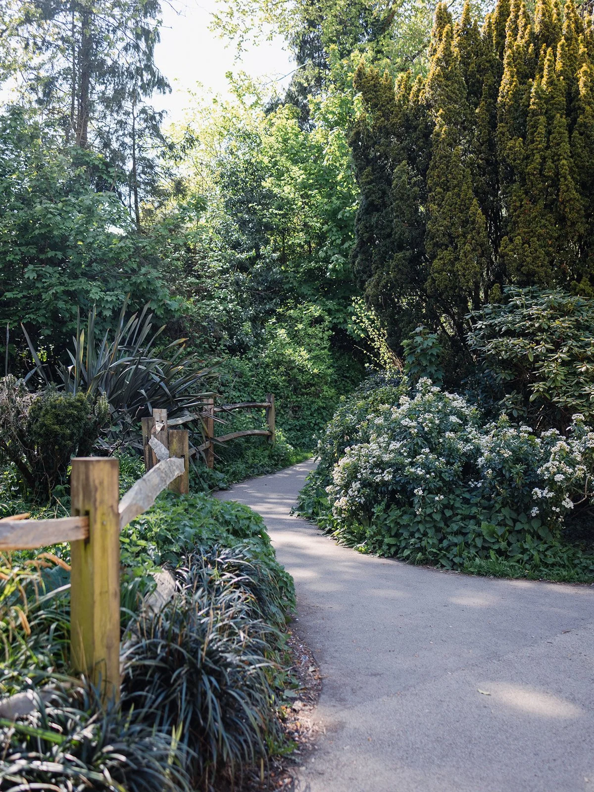 ALEXANDRA PARK_Sarah Marland Photography-56.JPG