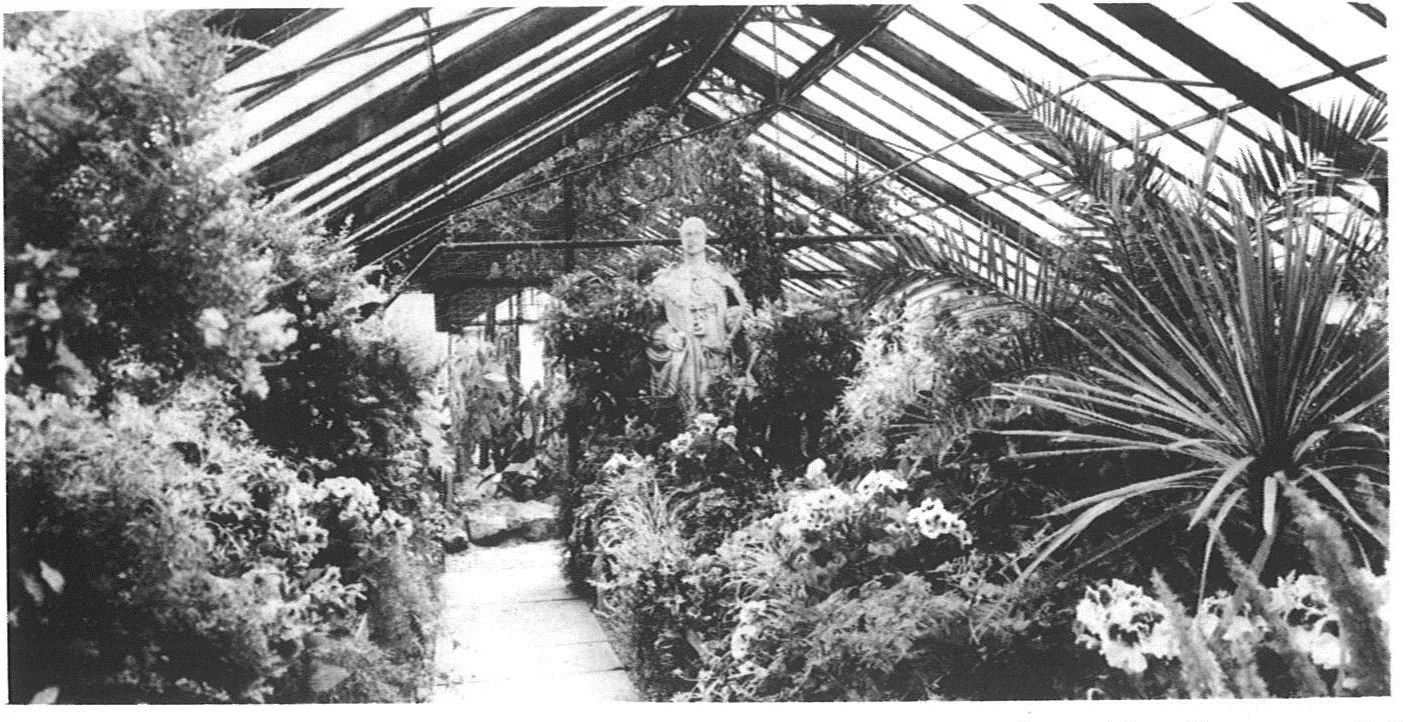 Black and white photo of plants and flowers inside a greenhouse with a glass roof, and a statue of a person holding a container in the background.