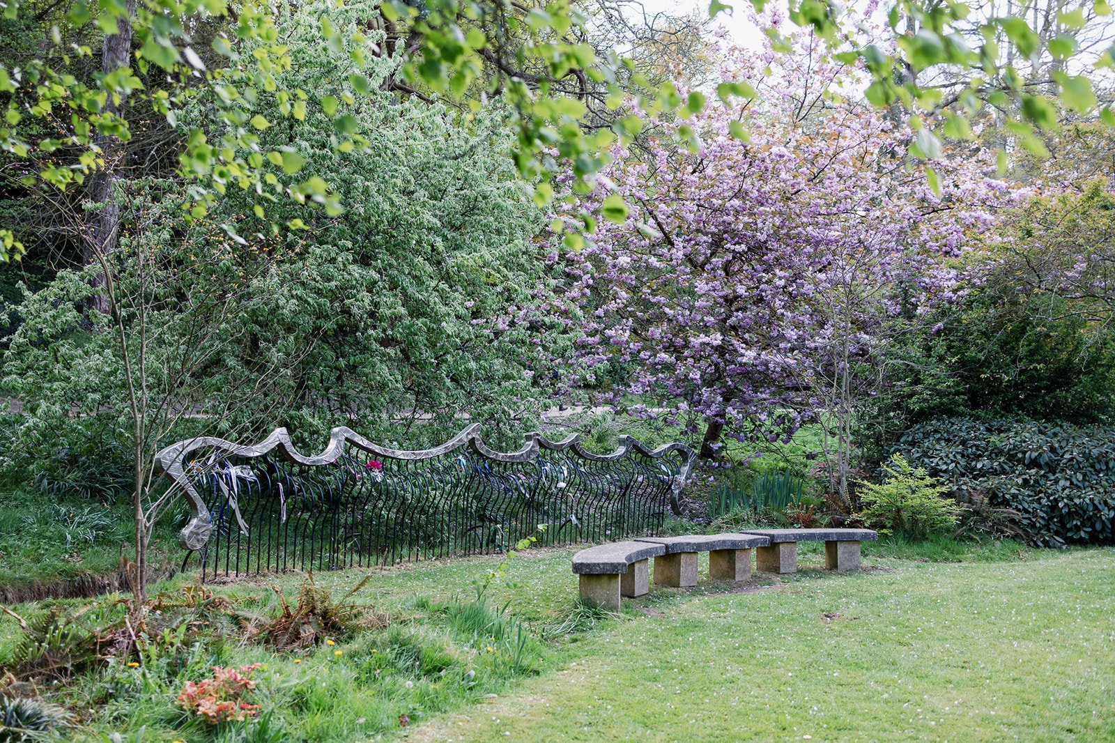 ALEXANDRA PARK_Sarah Marland Photography-45.JPG