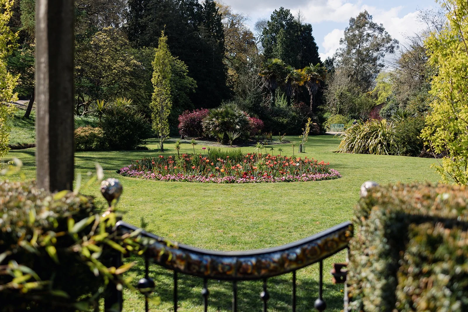 ALEXANDRA PARK_Sarah Marland Photography-51.JPG