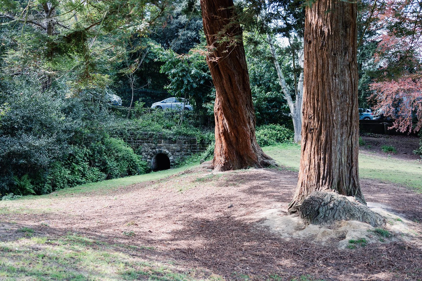 ALEXANDRA PARK_Sarah Marland Photography-31.JPG