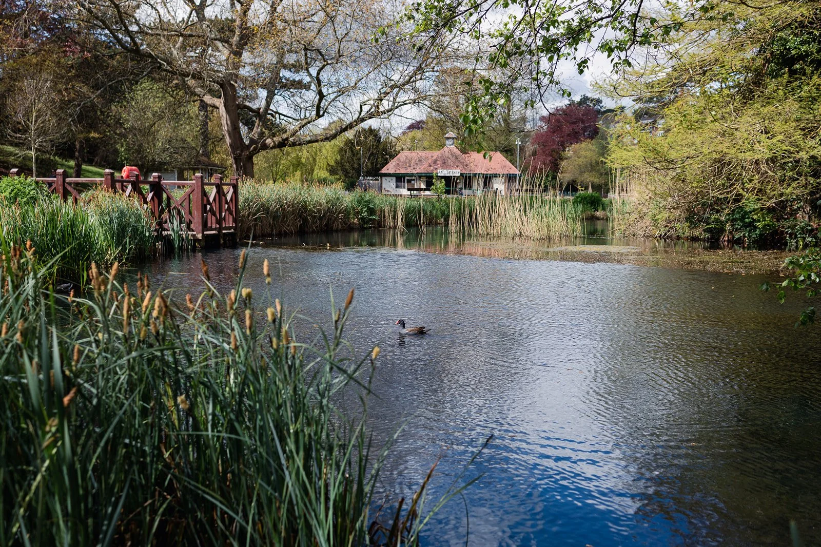 ALEXANDRA PARK_Sarah Marland Photography-13.JPG