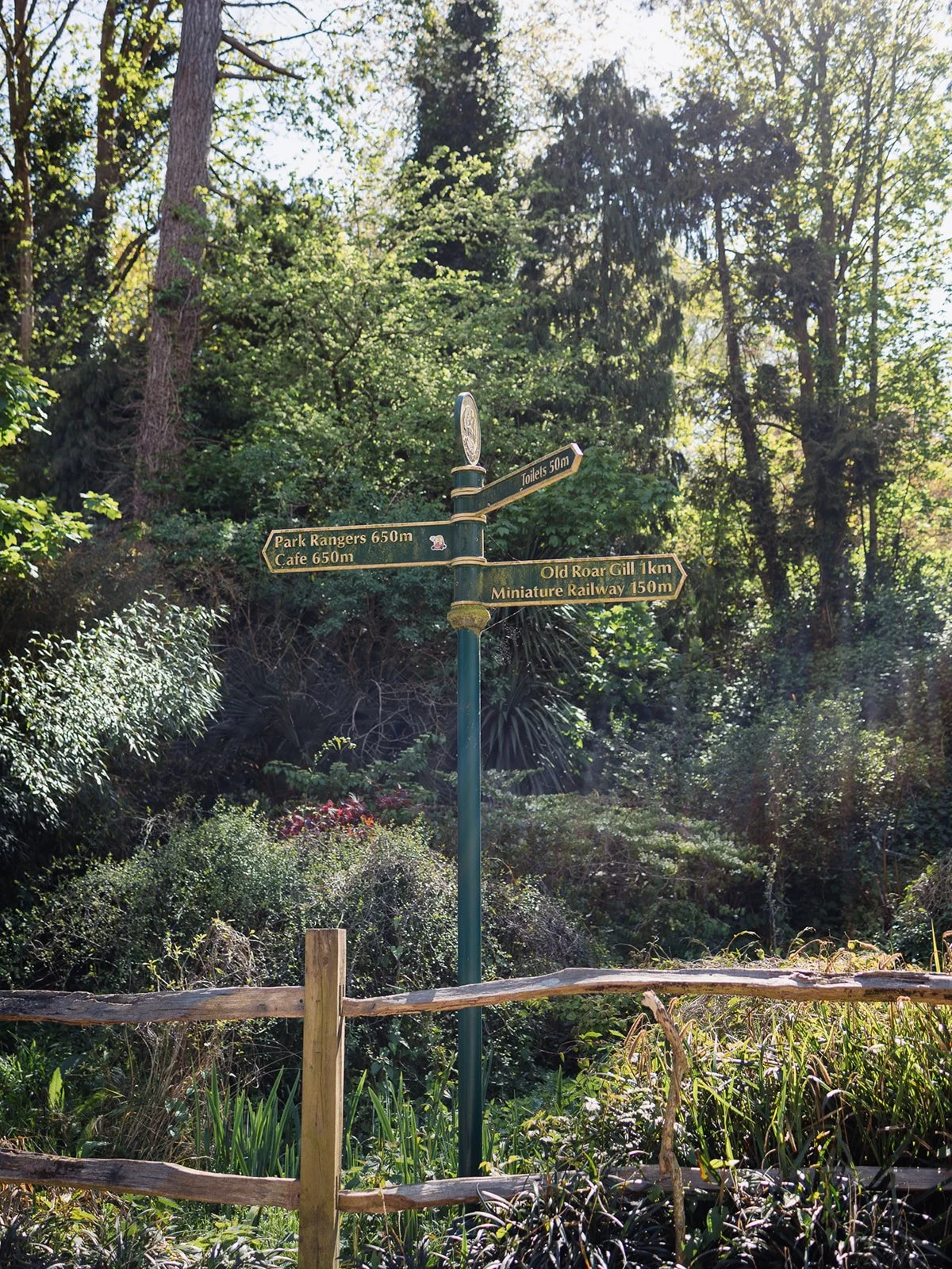 ALEXANDRA PARK_Sarah Marland Photography-55.JPG