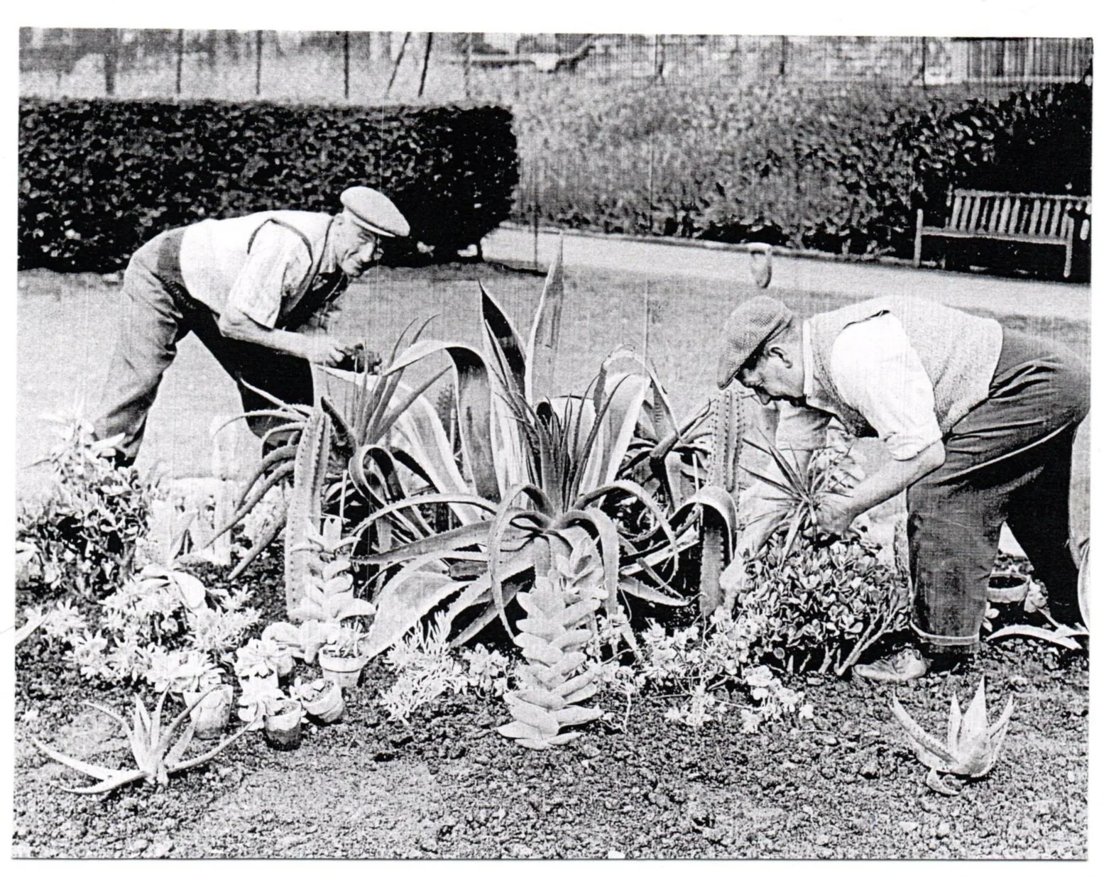 Gardeners in Park 1963