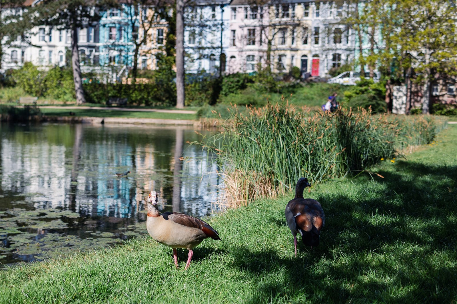 ALEXANDRA PARK_Sarah Marland Photography-88.JPG
