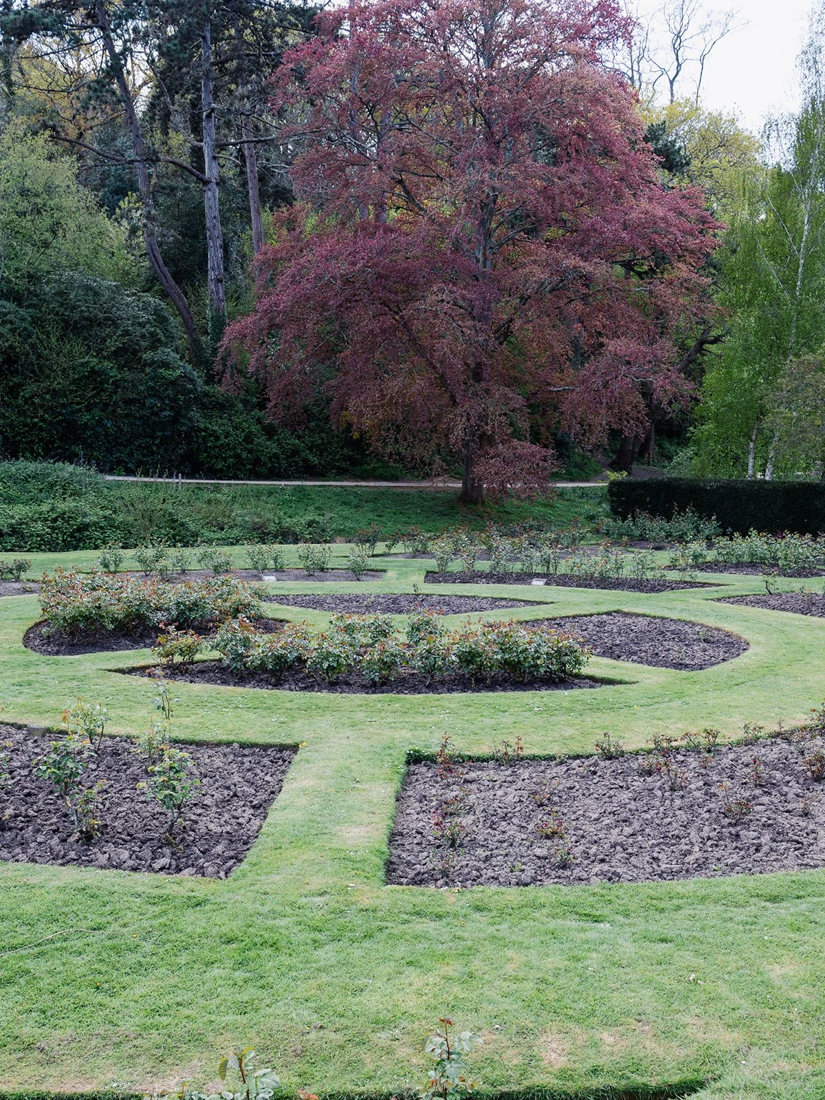 ALEXANDRA PARK_Sarah Marland Photography-40.JPG