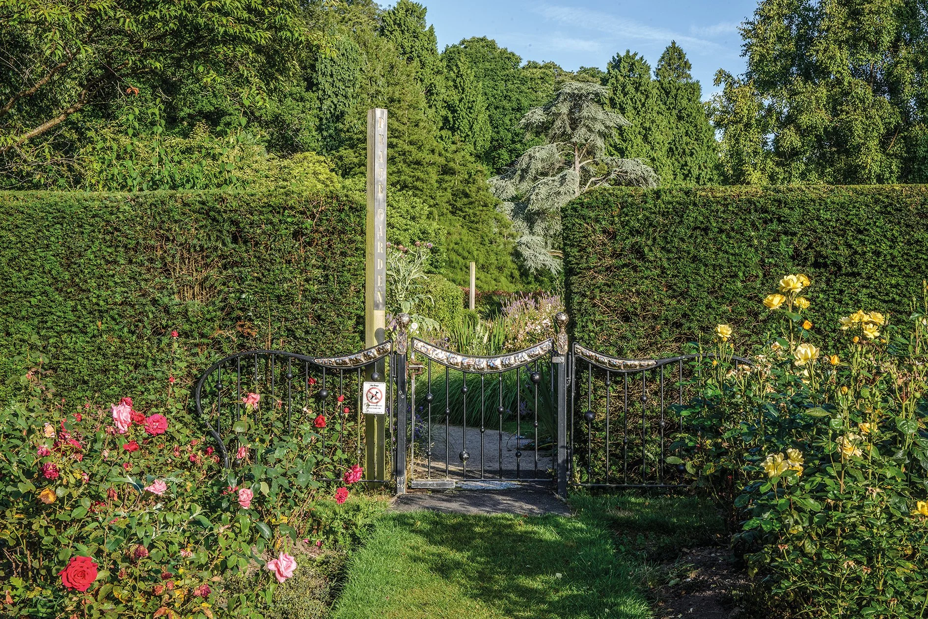 A garden with a black gate, pink and yellow roses, dense green trees and bushes, and a tall metal signpost that says "TRAIL GARDEN."