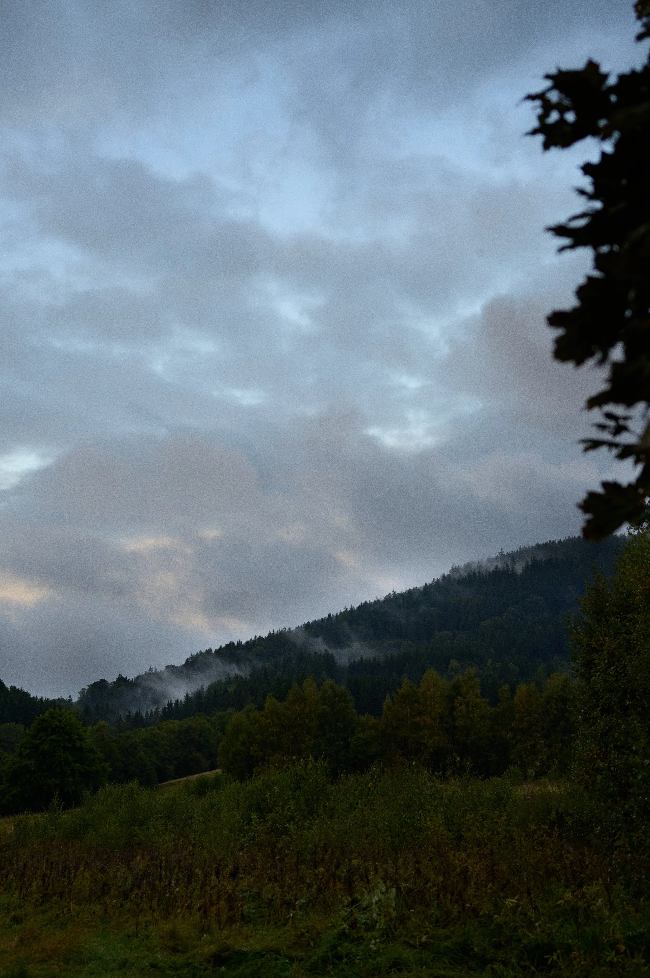 DSC_0302.jpeg