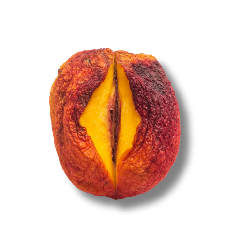 Peach with a bite taken out, showing its yellow flesh inside.