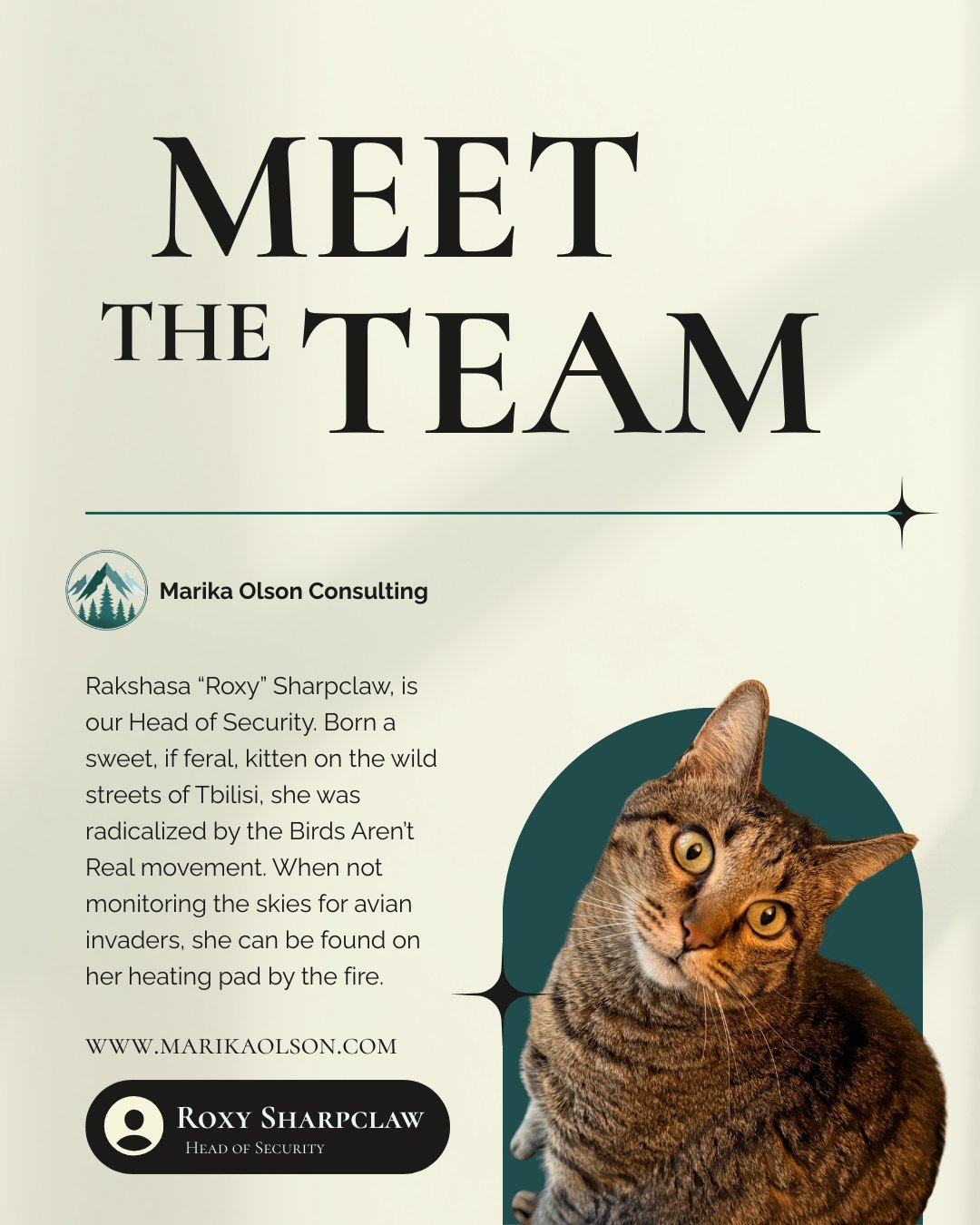 Meet the team at Marika Olson Consulting. 

Rakshasa "Roxy" Sharpclaw, Head of Security 

Born a sweet (if eternally semi-feral) kitten on the wild streets of Tbilisi, Georgia, Roxy was radicalized by the Birds Aren't Real movement early in