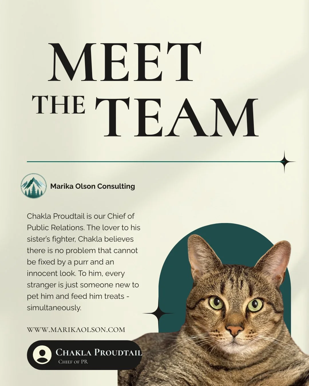 Meet the team  at Marika Olson Consulting. 

Chakla Proudtail, Chief of Public Relations 

The lover to his sister's fighter, Chakla believes there is no problem that cannot be solved by a purr and an innocent look. His conflict resolution strategy i