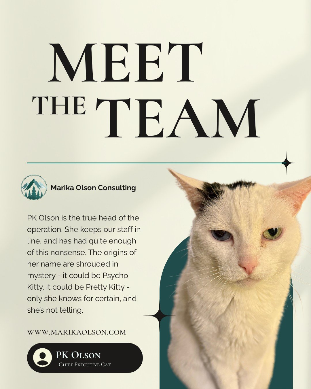 Meet the team at Marika Olson Consulting. 

PK Olson, CEO (Chief Everything Officer) 

PK is the true head of the operation. She keeps our staff in line, and has had quite enough of this nonsense. 

The origins of her name are shrouded in mystery. It