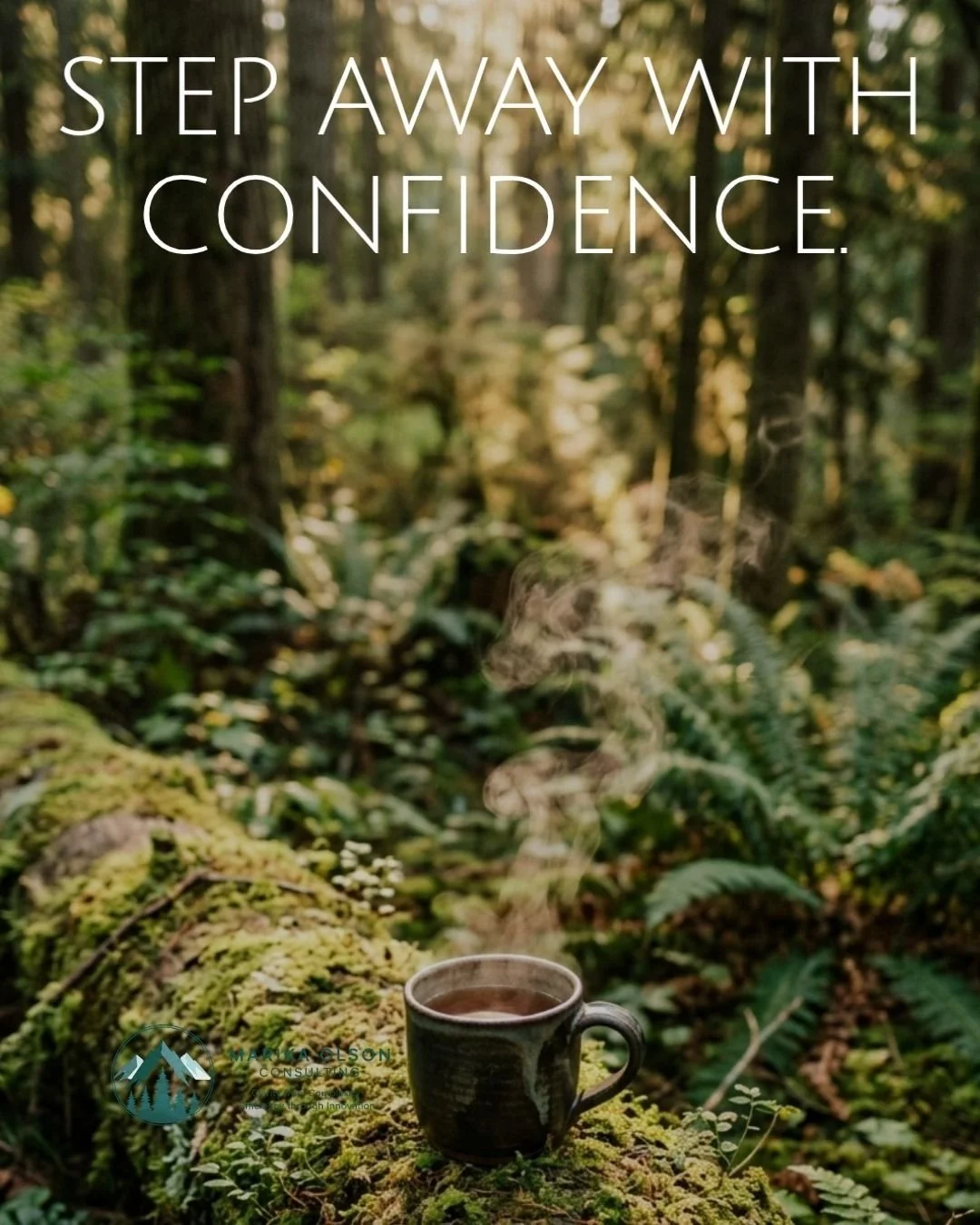 Can you take two weeks off without a single panicked text? If not, that's an operations problem.
#fractionalcoo #operations #smallbusiness #succession #systems