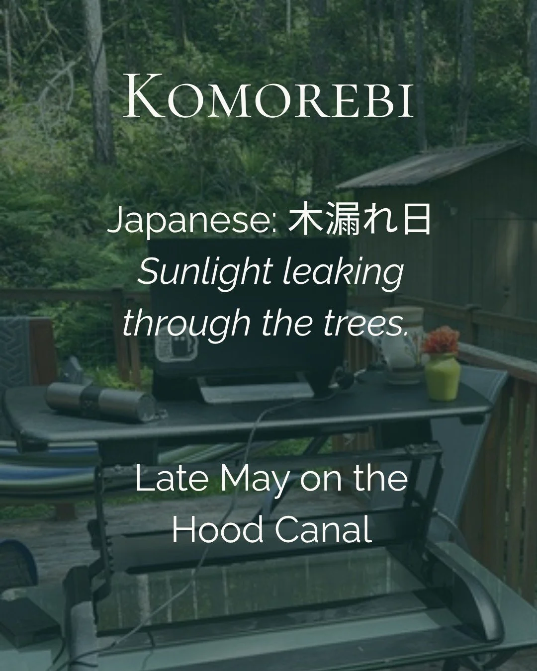 Late May in Hoodsport. A rainy Memorial Day last weekend, suited to the somber holiday, but I like to get out and work from the deck when I can. My rhododendrons are in full flower and the light coming through the canopy is dappled green. Komorebi, t