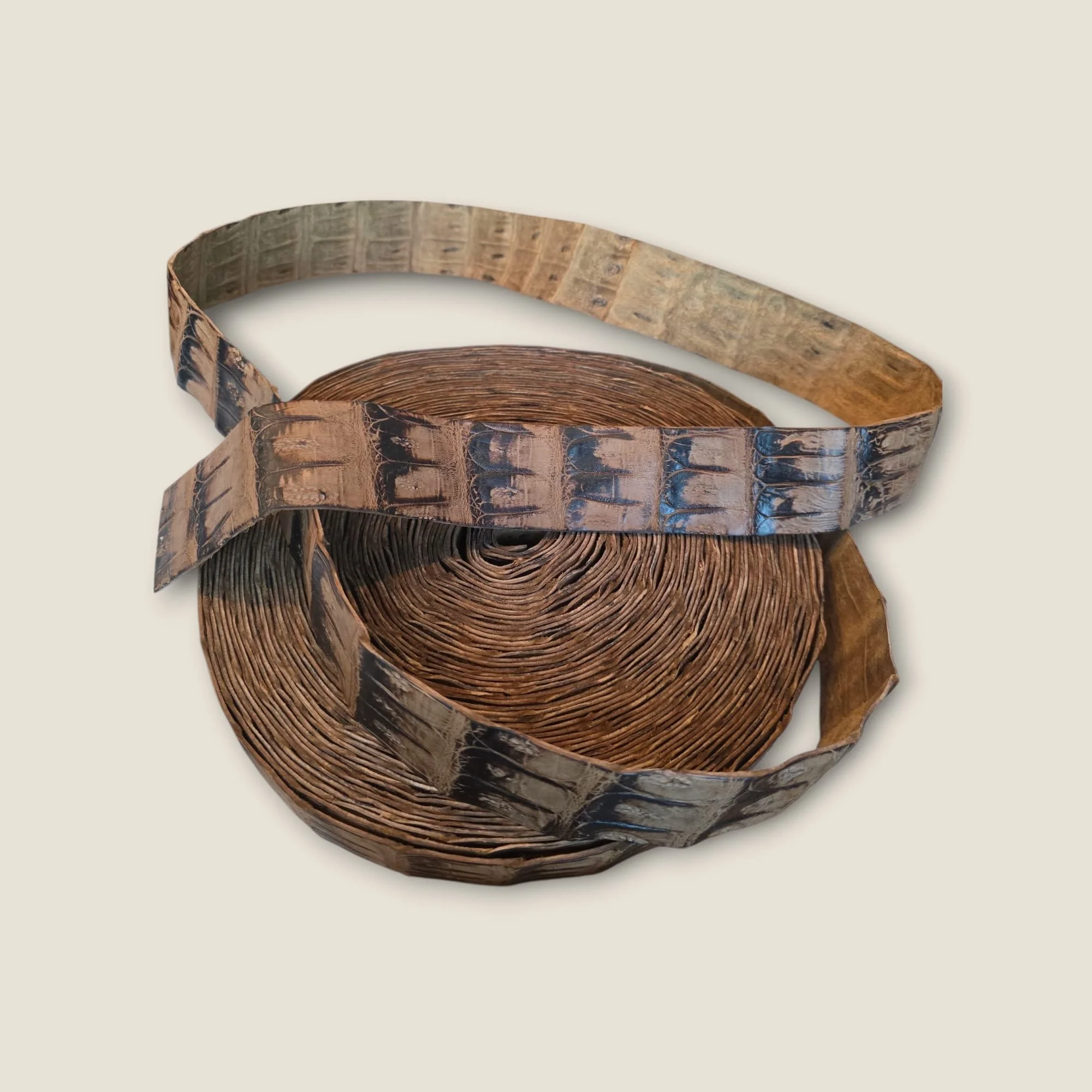 Summit & Selva — Vintage Brown Crocodile Tail Belt Strips (DIY - Sold Per Foot)