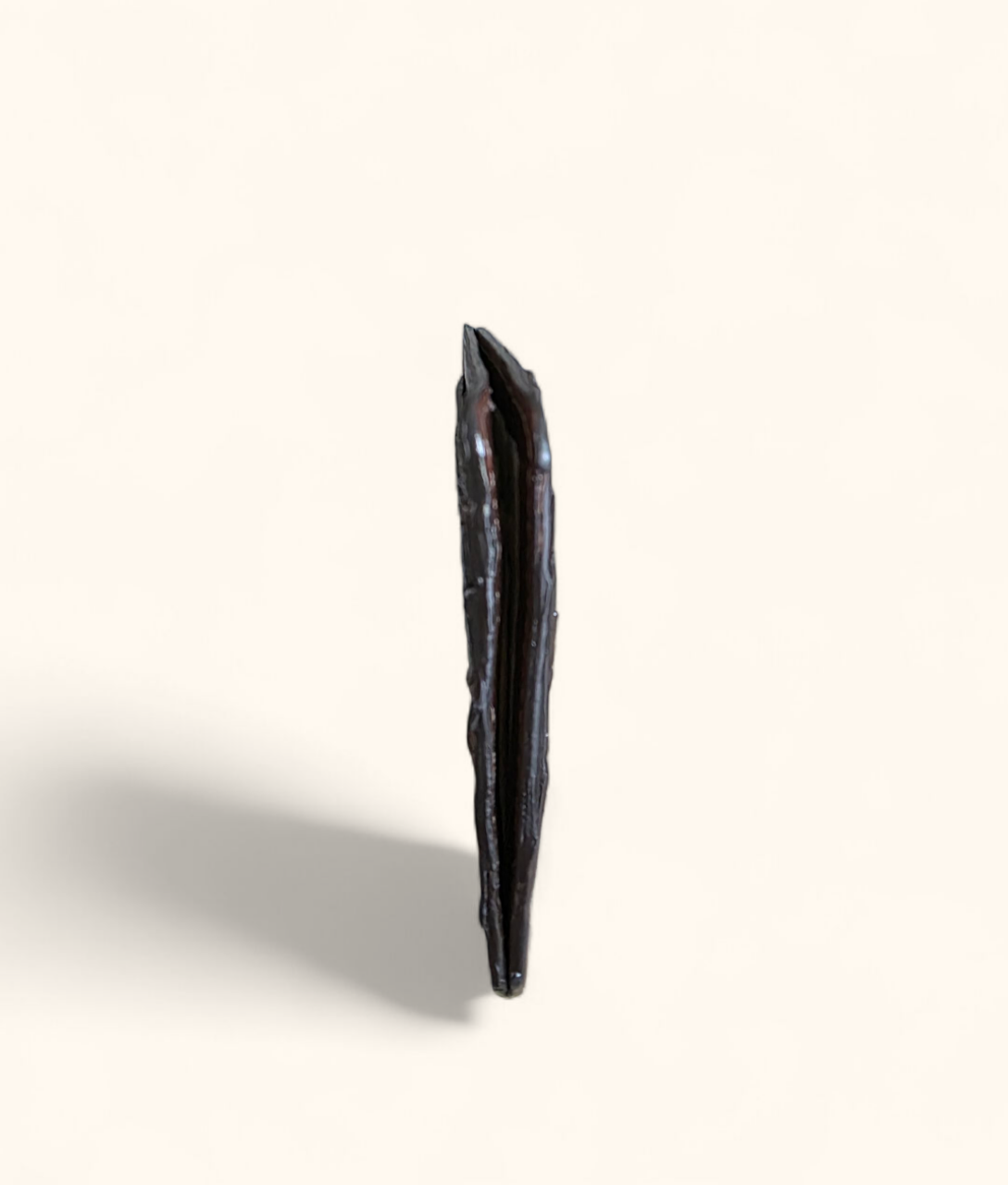summit-selva-genuine-crocodile-leather-dark-brown-vintage-tail-card-holder-artisan-amazon-thin.png
