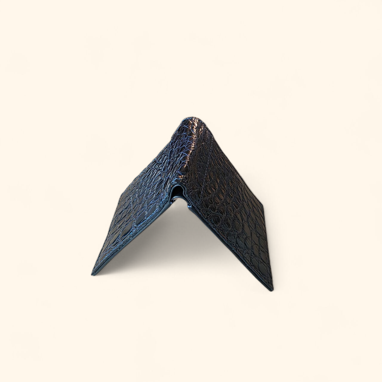 summit-selva-genuine-crocodile-leather-mens-wallets-fashion-gloss-black-flank-luxury-artisan-exterior-single-piece.png