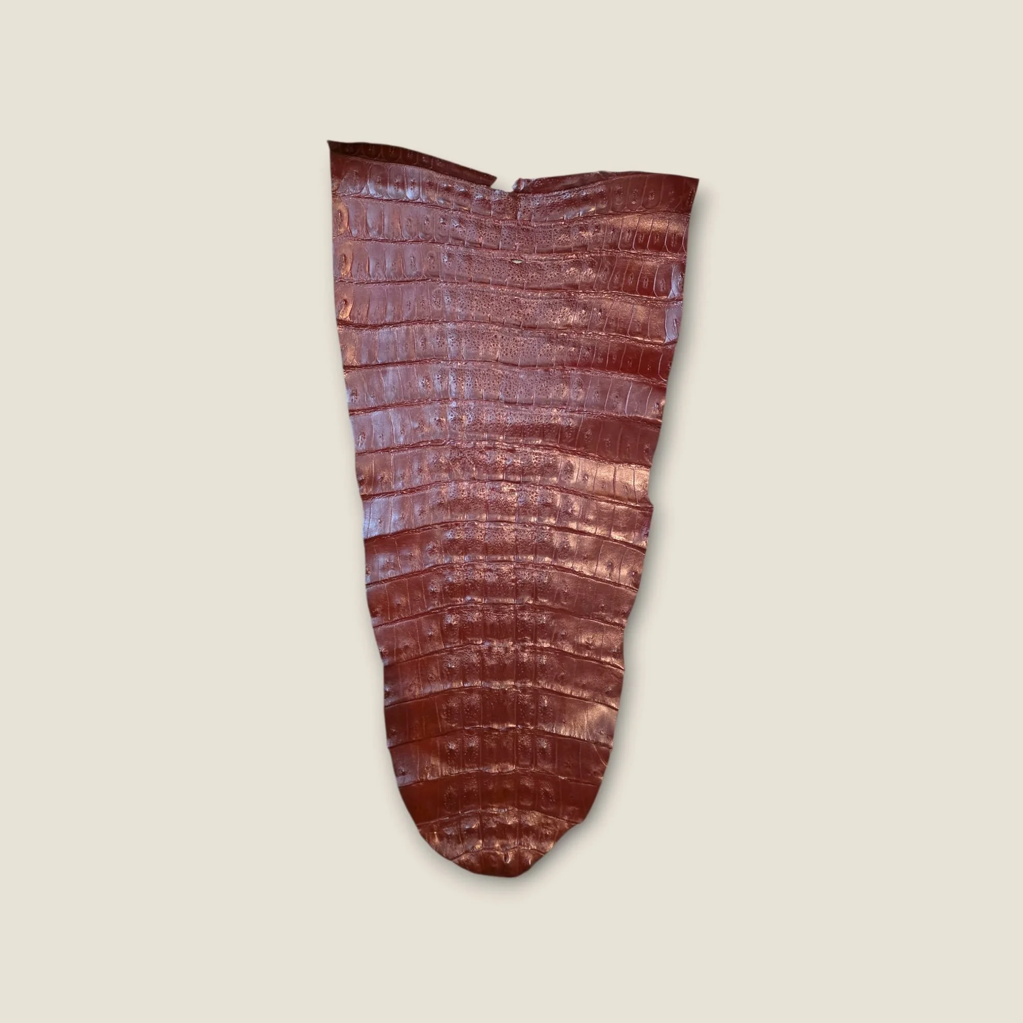 Summit & Selva responsibly sourced red crocodile tail leather hide, ideal for belts, wallets, folios, and exotic handcrafted goods