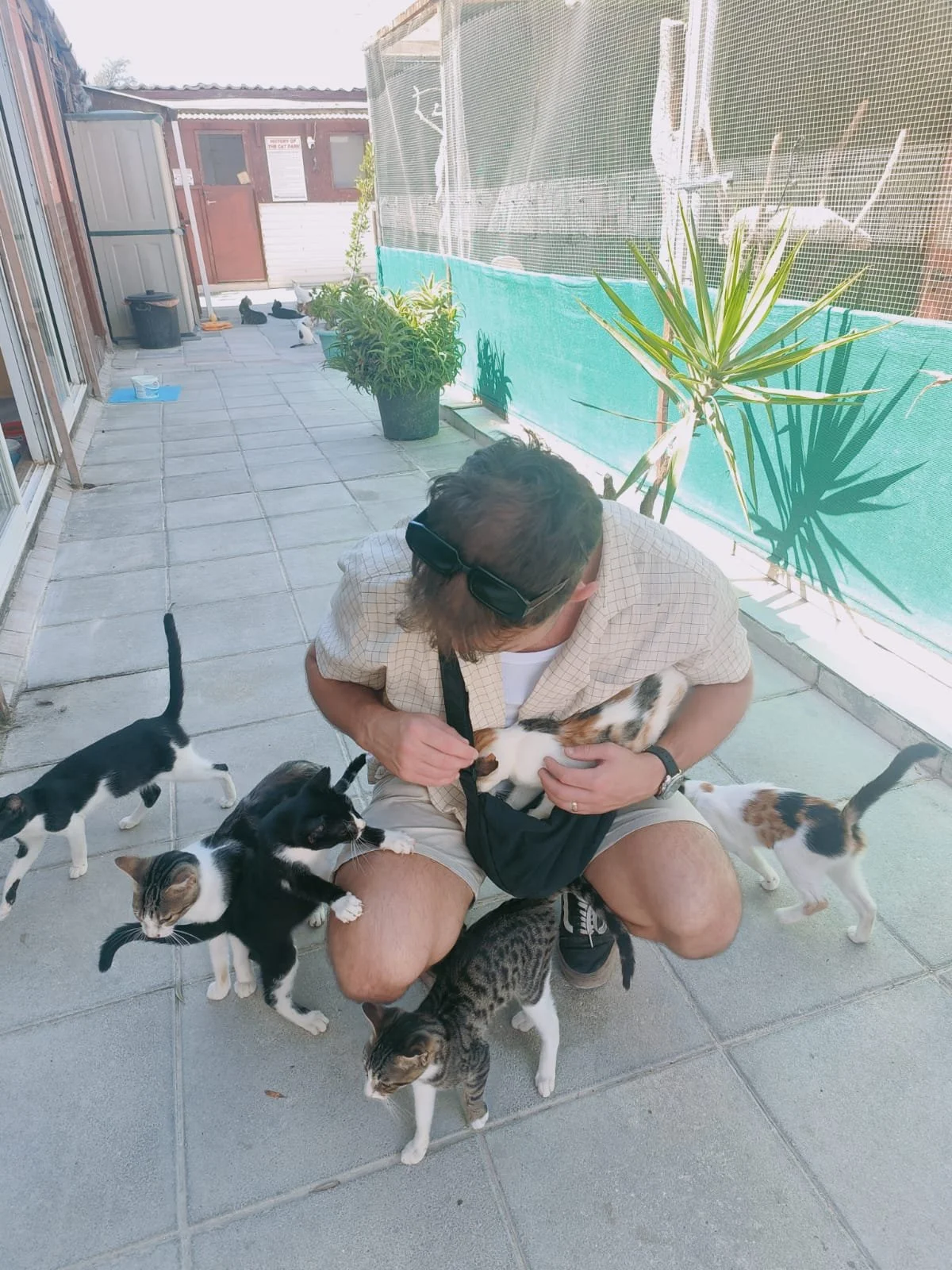 WhatsApp Image 2025-10-23 at 17.44.37.jpeg