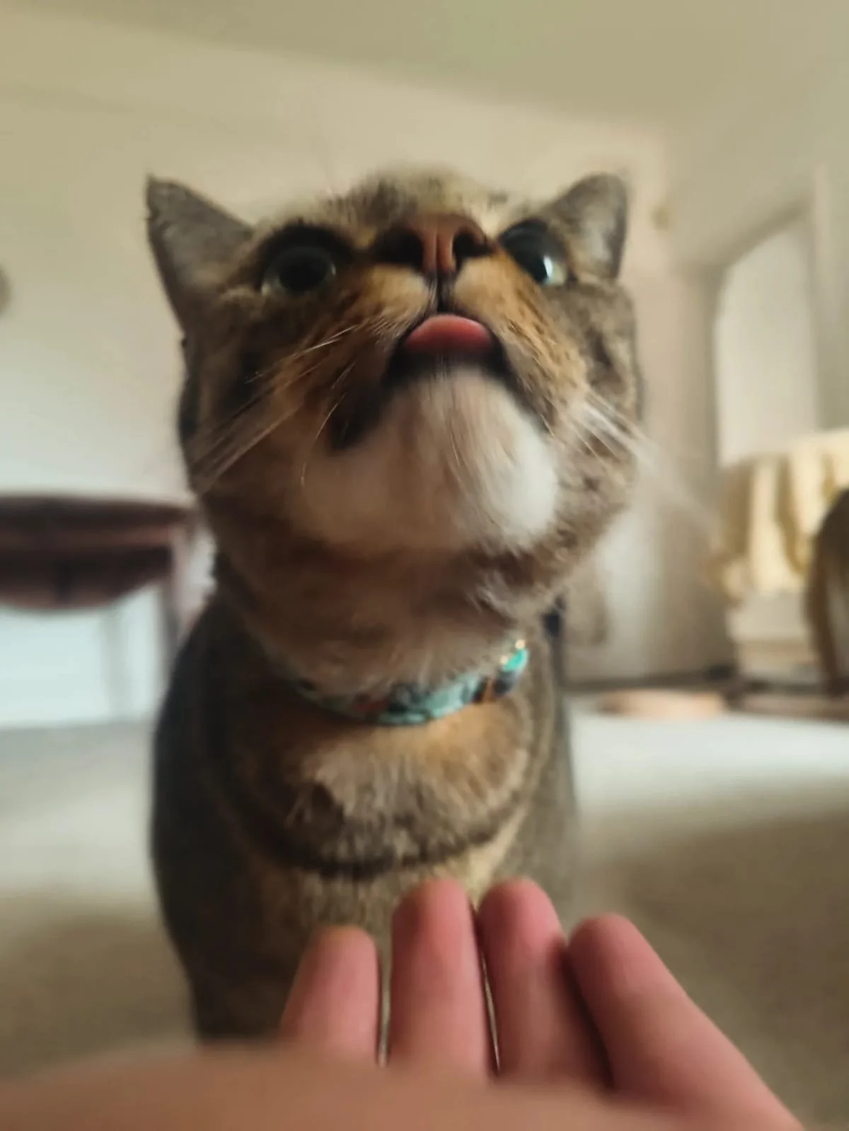 WhatsApp Image 2025-10-28 at 16.43.47 (1).jpeg