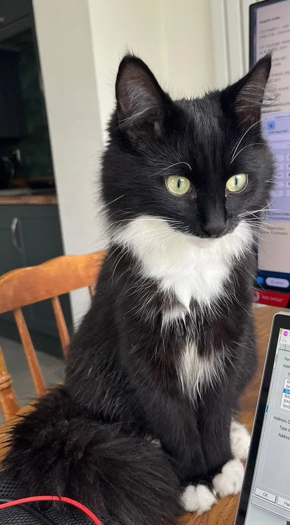 WhatsApp Image 2025-10-23 at 17.44.35.jpeg