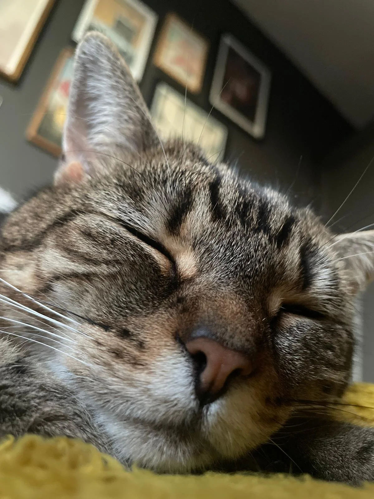 WhatsApp Image 2025-10-23 at 17.44.32.jpeg