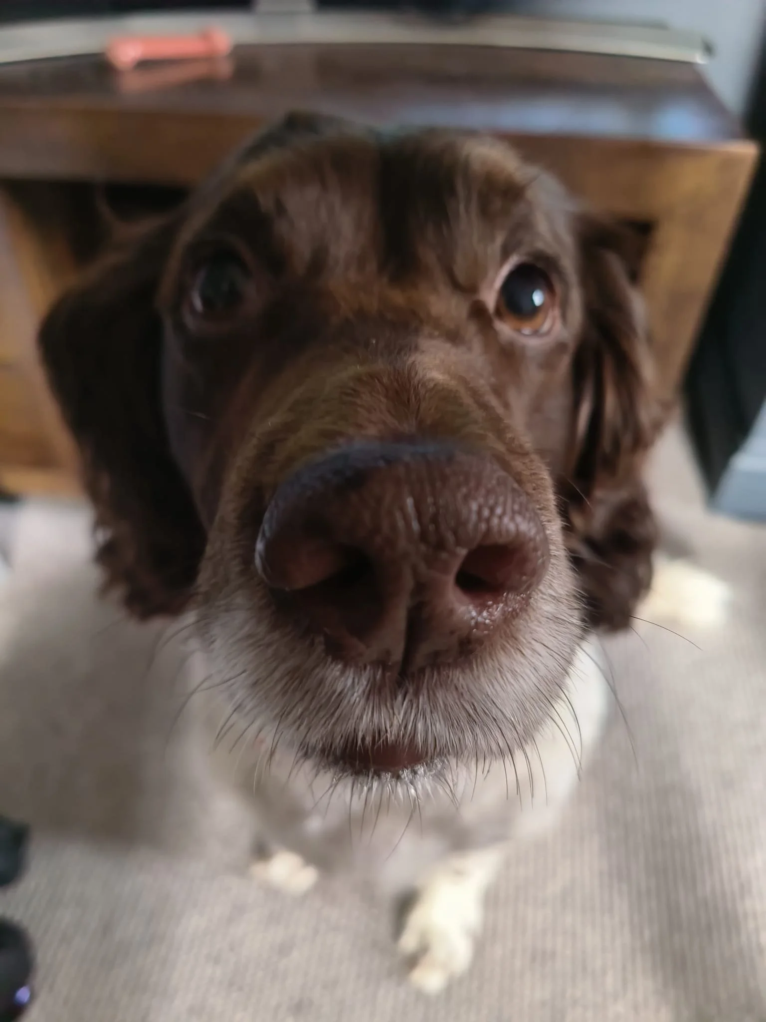 WhatsApp Image 2025-10-28 at 16.43.47.jpeg