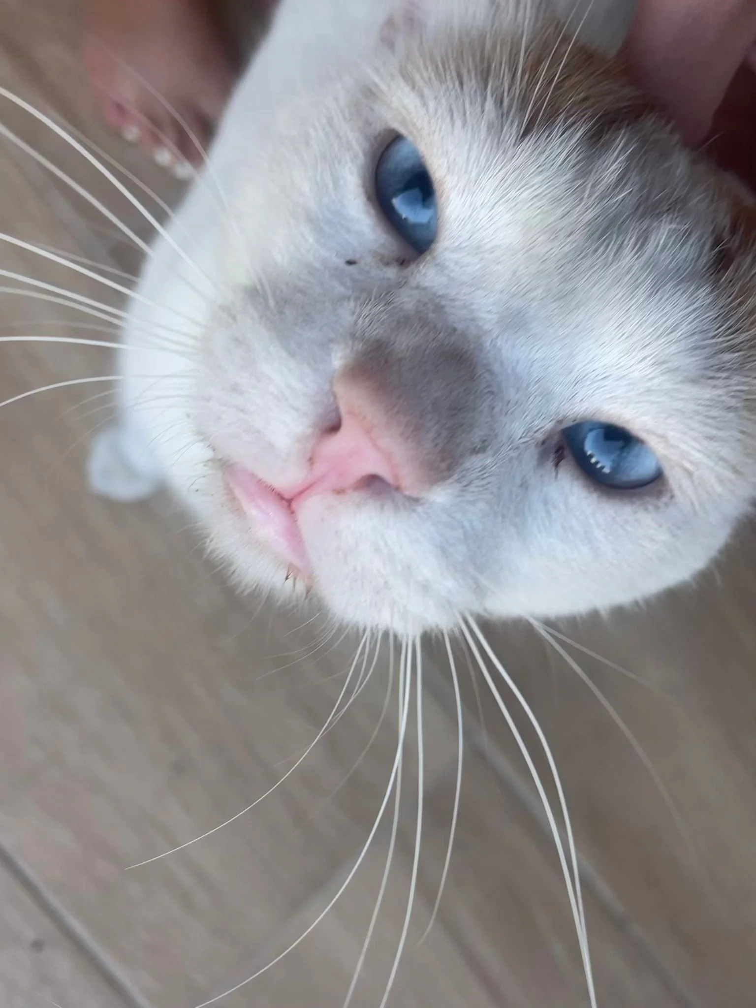 WhatsApp Image 2025-10-23 at 17.44.36 (4).jpeg