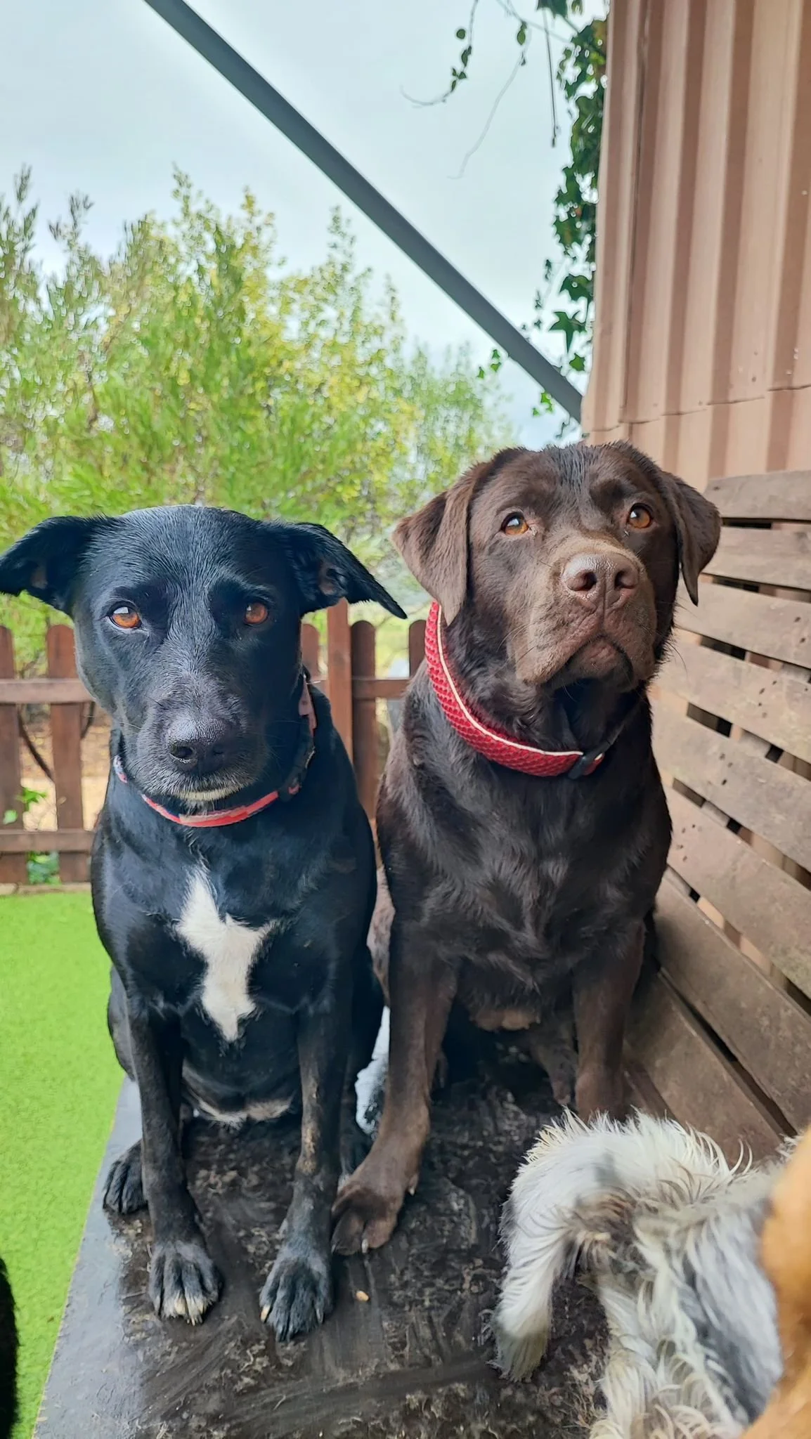 WhatsApp Image 2025-10-23 at 17.44.32 (1).jpeg