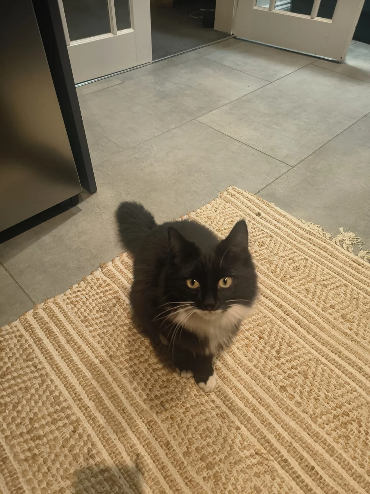 WhatsApp Image 2025-10-23 at 17.44.34.jpeg