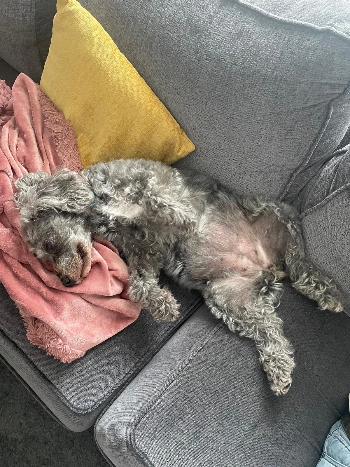 WhatsApp Image 2025-10-23 at 17.44.37 (1).jpeg