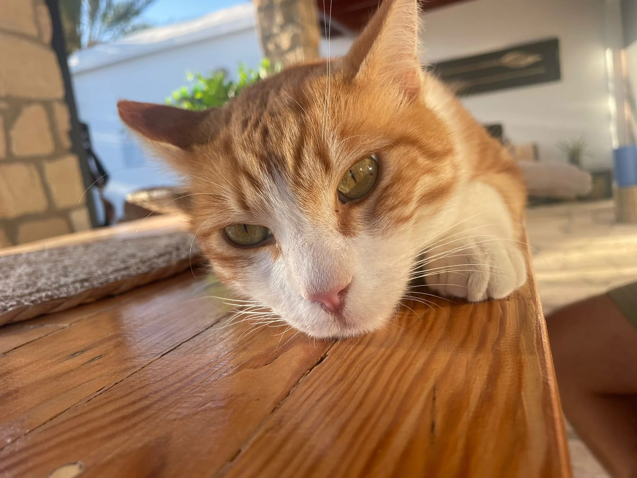 WhatsApp Image 2025-10-23 at 17.44.36 (2).jpeg