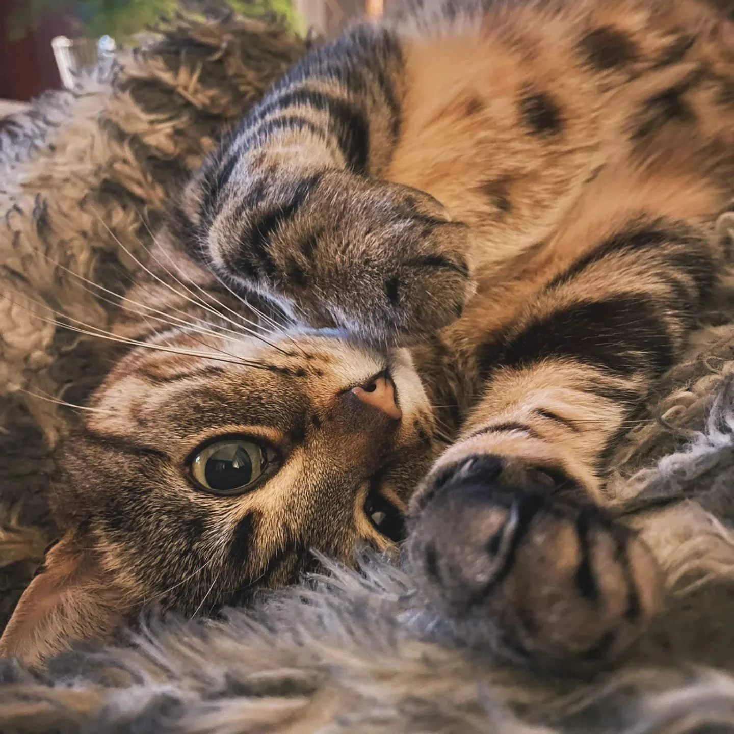 WhatsApp Image 2025-10-23 at 17.44.36 (1).jpeg