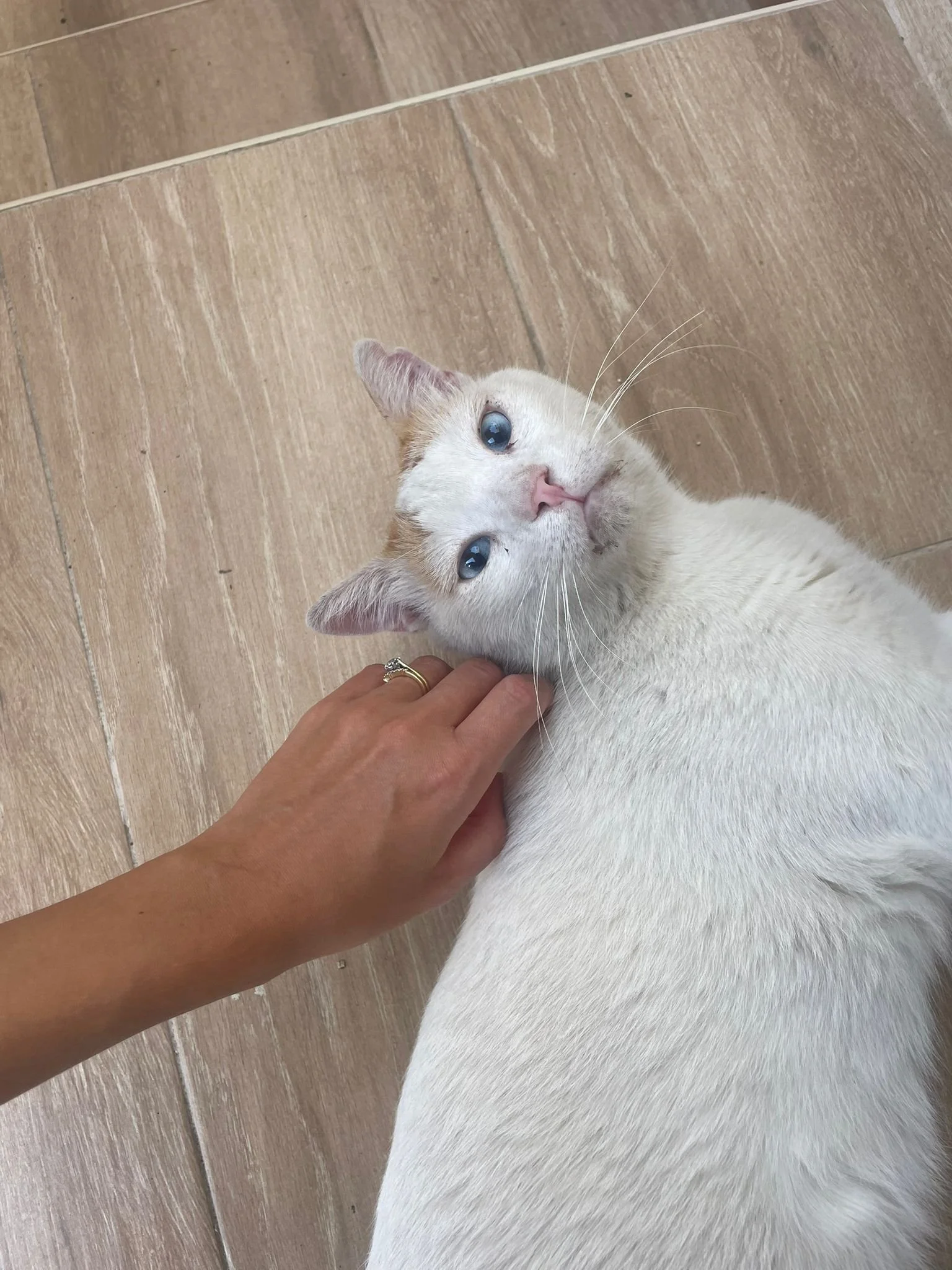 WhatsApp Image 2025-10-23 at 17.44.36 (3).jpeg