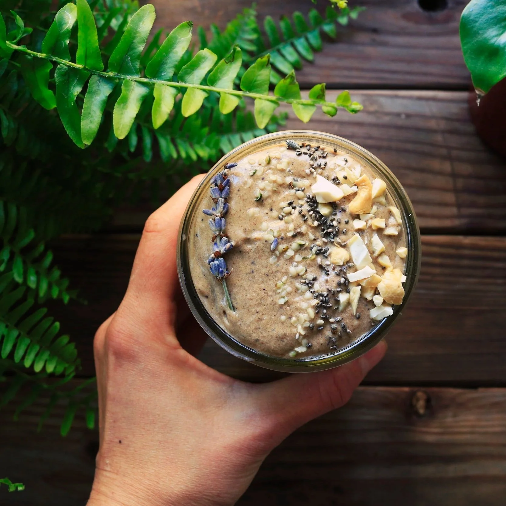 Chocolate Mocha Smoothie