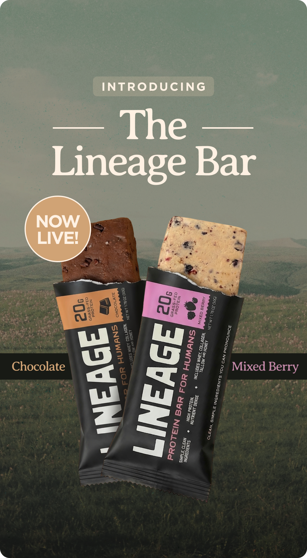 Lineage Provisions